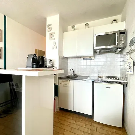 Apartment En Bord De A Avec Loggia, Parking Prive Et Acces Direct A La - Fr-1-338-566 Sete