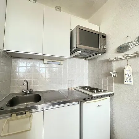 Apartment En Bord De A Avec Loggia, Parking Prive Et Acces Direct A La - Fr-1-338-566 Sete